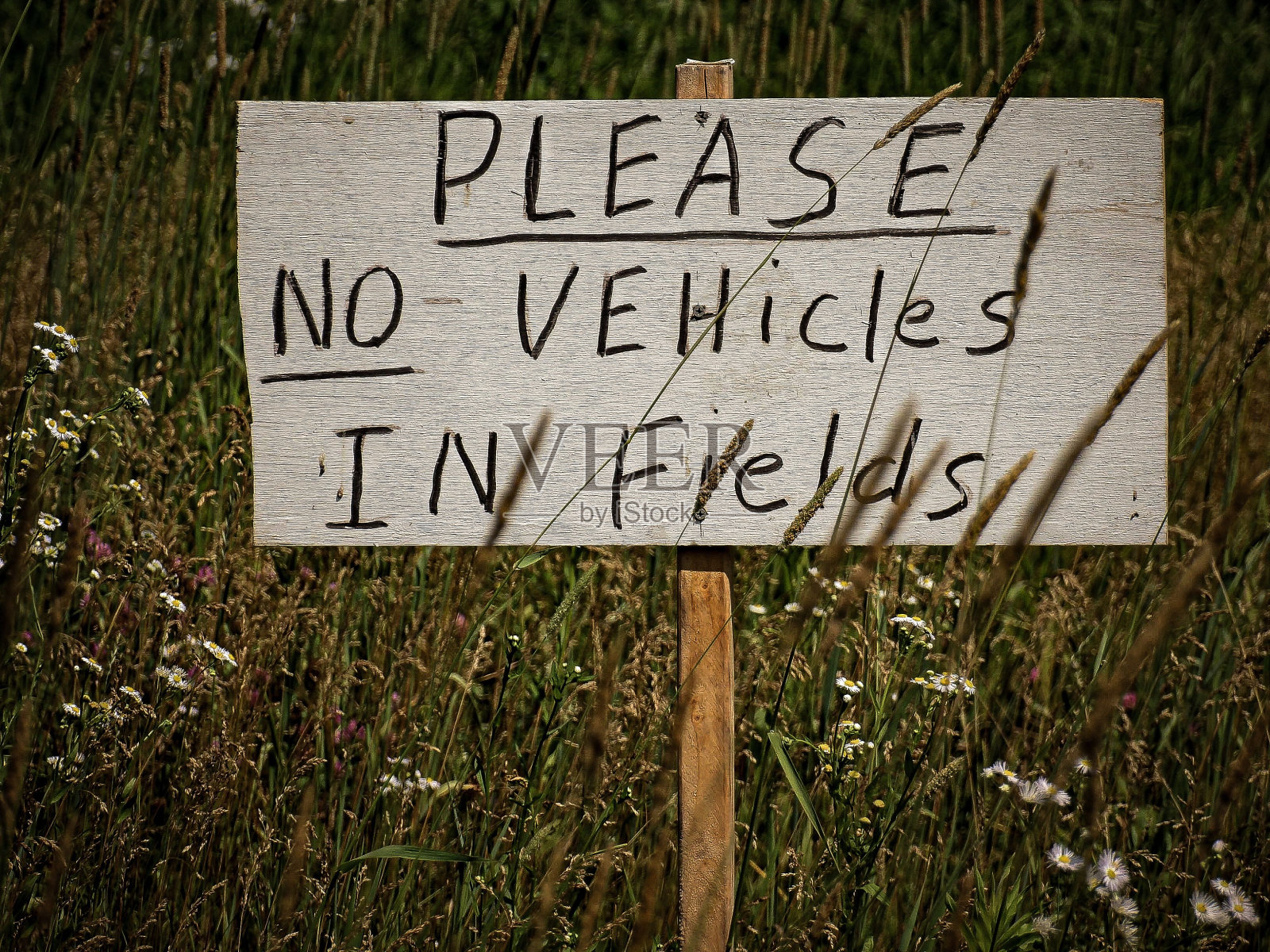 在一片郁郁葱葱、充满活力的田野背景下，写着“请禁止车辆进入”的标语照片摄影图片