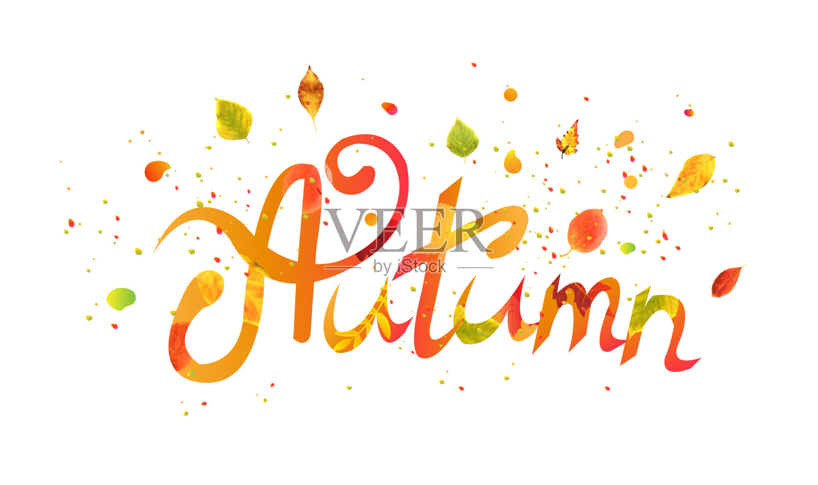 秋天的文字与白色背景插画图片素材