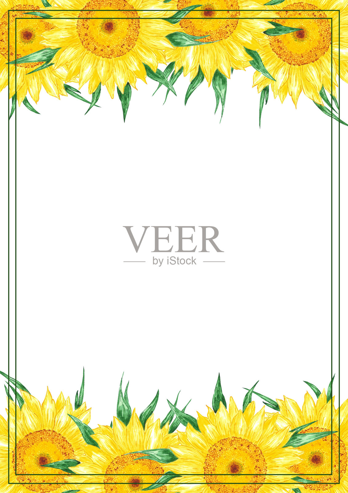 手绘水彩黄色向日葵板框隔离在白色背景。可用于邀请函、明信片、海报、书籍装饰等印刷品。插画图片素材