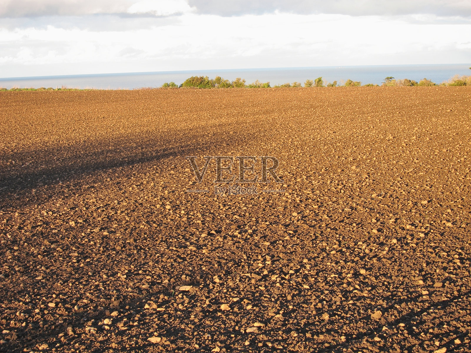 被播种的土地照片摄影图片