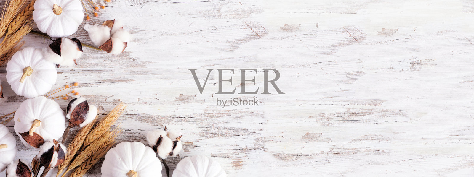 秋天的角落边界与白色的南瓜自然装饰在白色的木横幅背景照片摄影图片