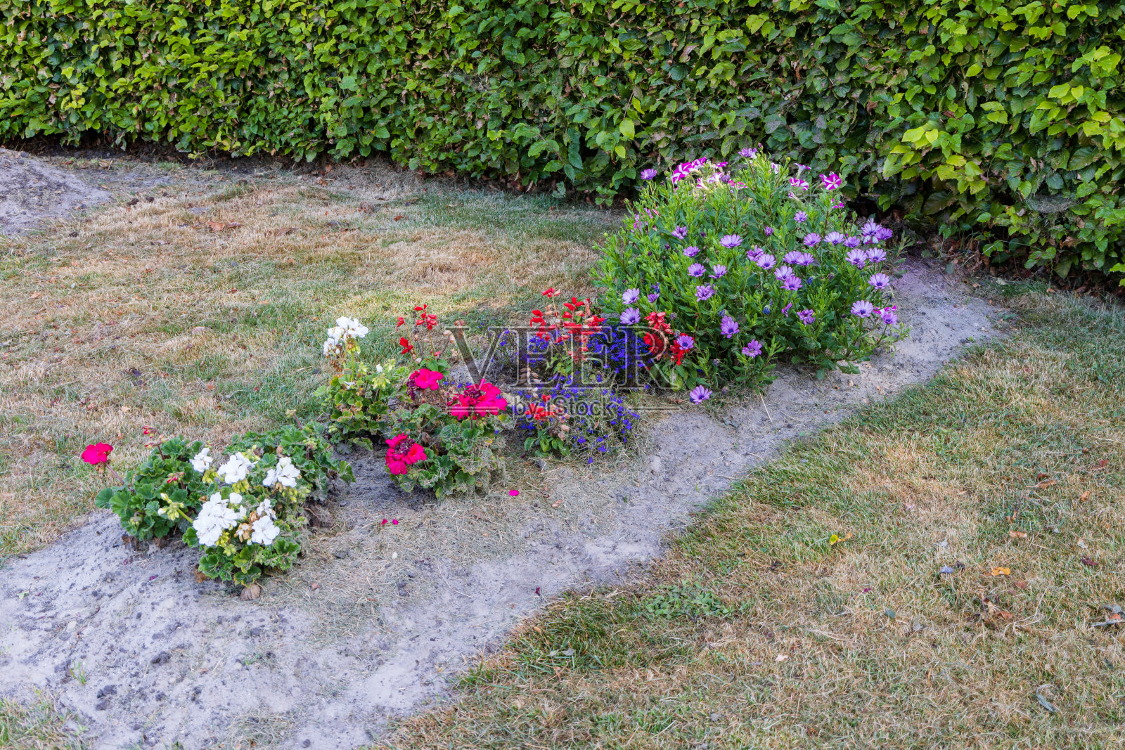 荷兰马鲁姆教堂和墓地照片摄影图片