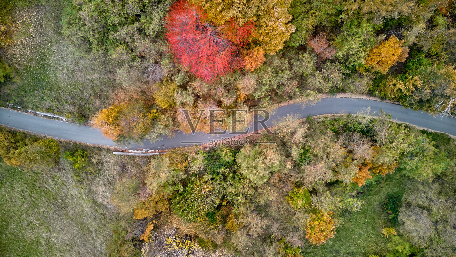 罗马尼亚秋季森林和丘陵的鸟瞰图。秋天的风景照片摄影图片