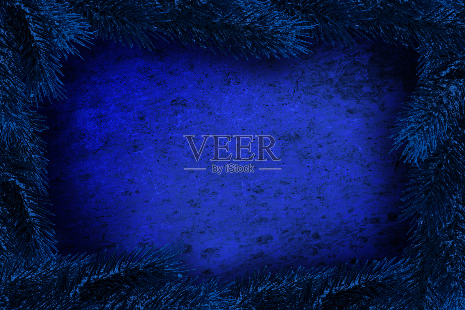 带冷杉树枝的蓝色圣诞背景照片摄影图片