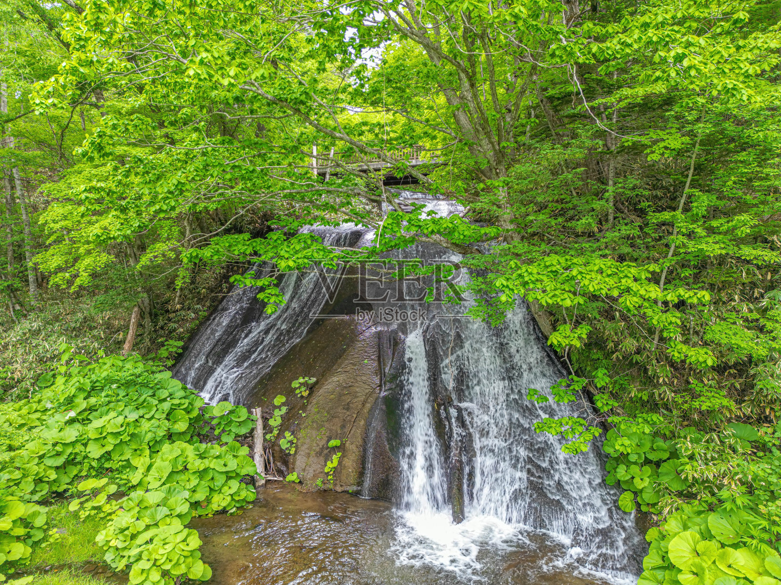 Eniwa谷照片摄影图片