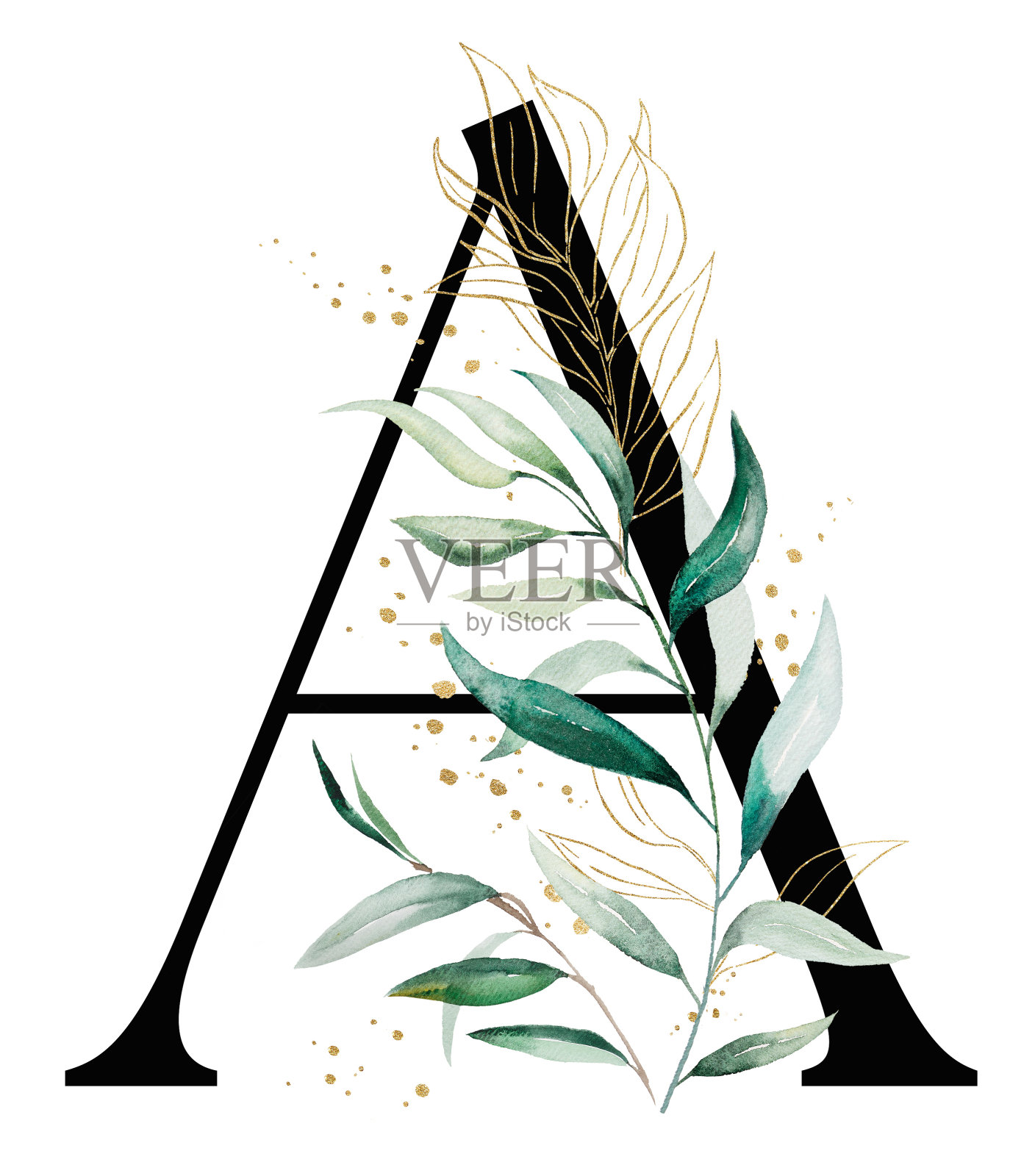 黑色字母A与绿色水彩叶子，孤立的婚礼插图，字母元素插画图片素材