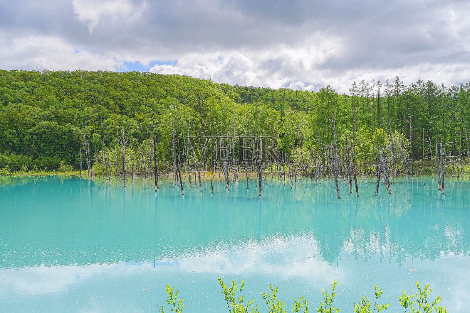 蓝色池塘照片摄影图片