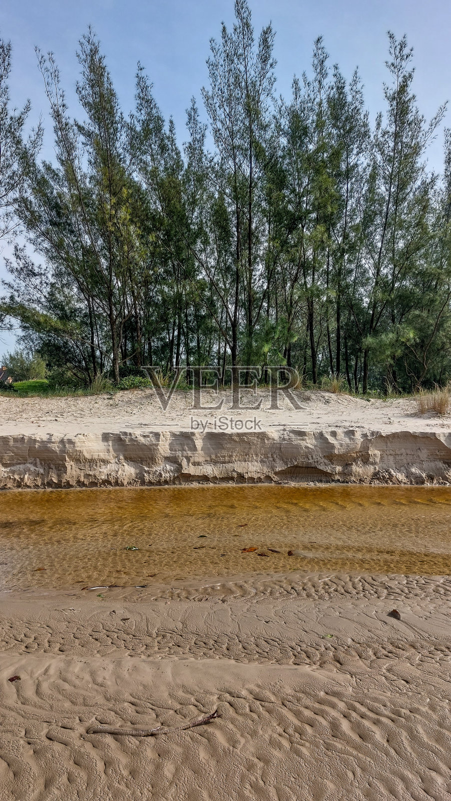 巴西沙丘中的一条小河照片摄影图片