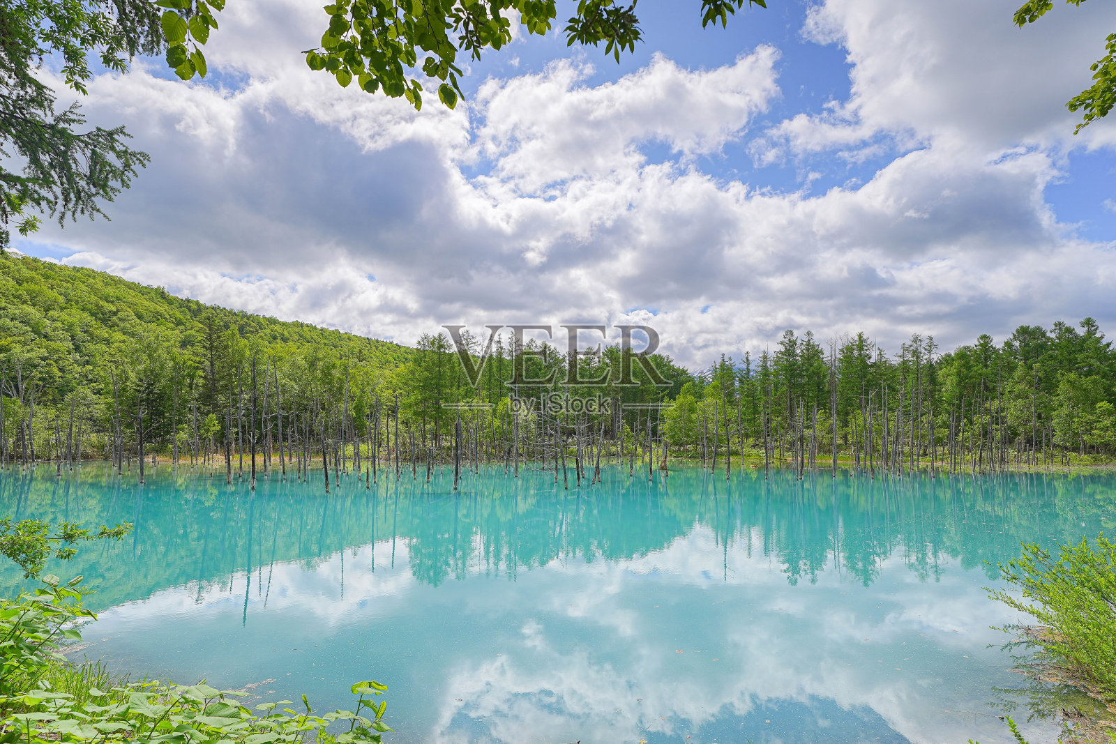 蓝色池塘照片摄影图片