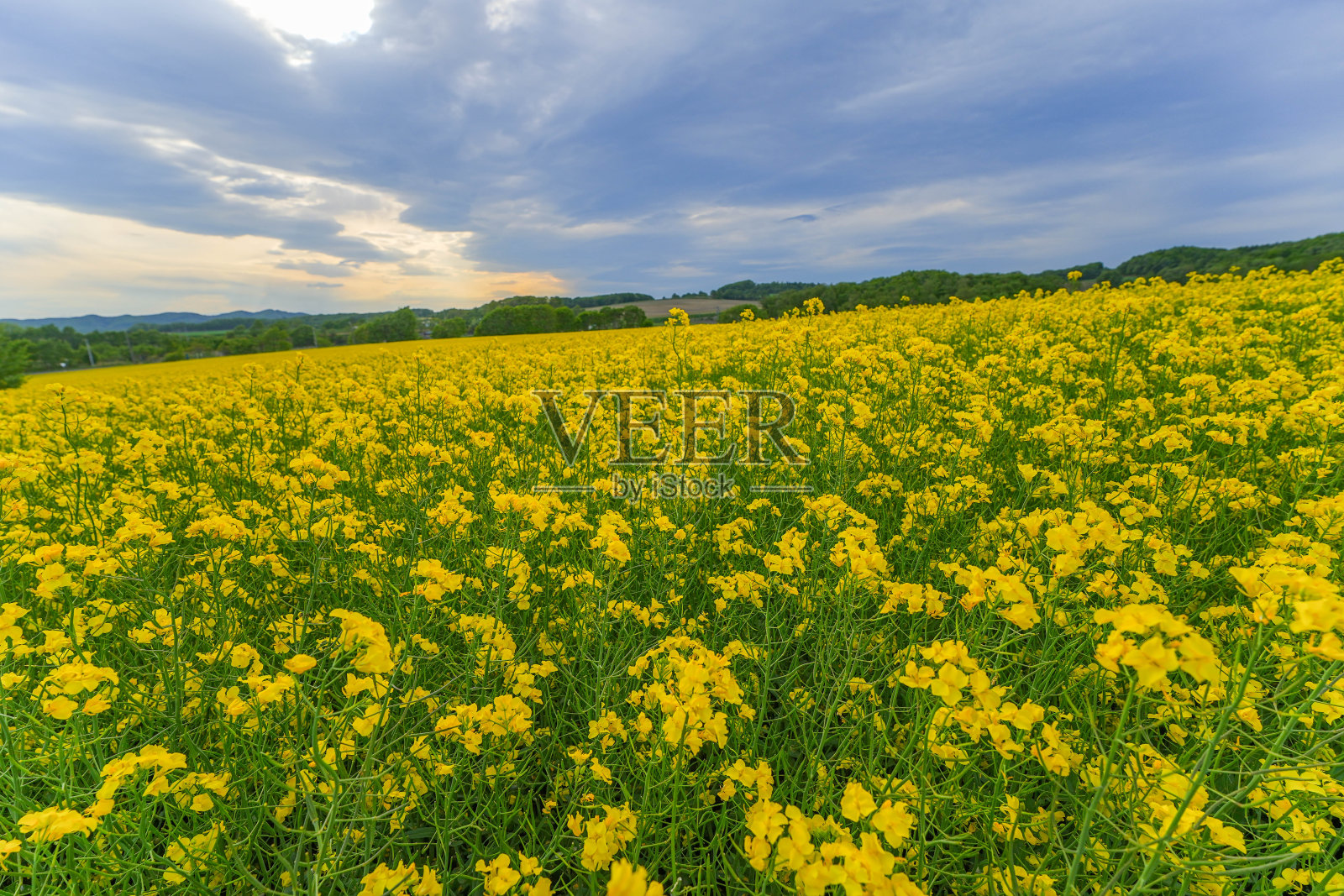 阿比拉镇的景色照片摄影图片