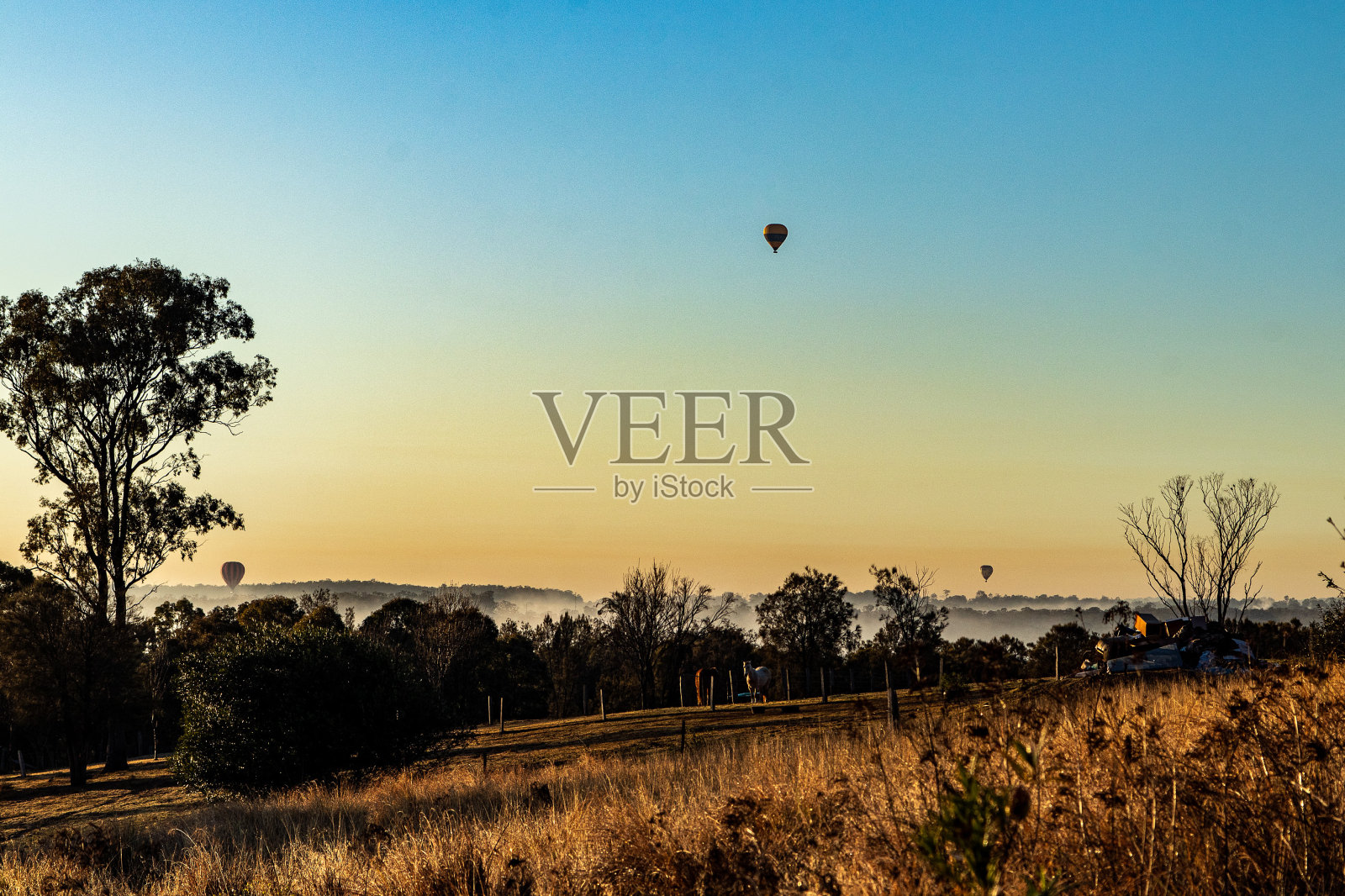 早上的日出照片摄影图片