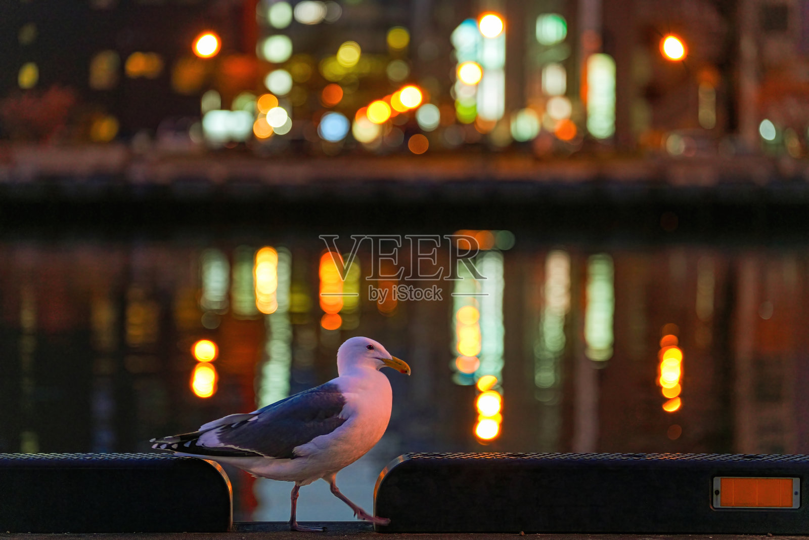 钏路市夜景照片摄影图片