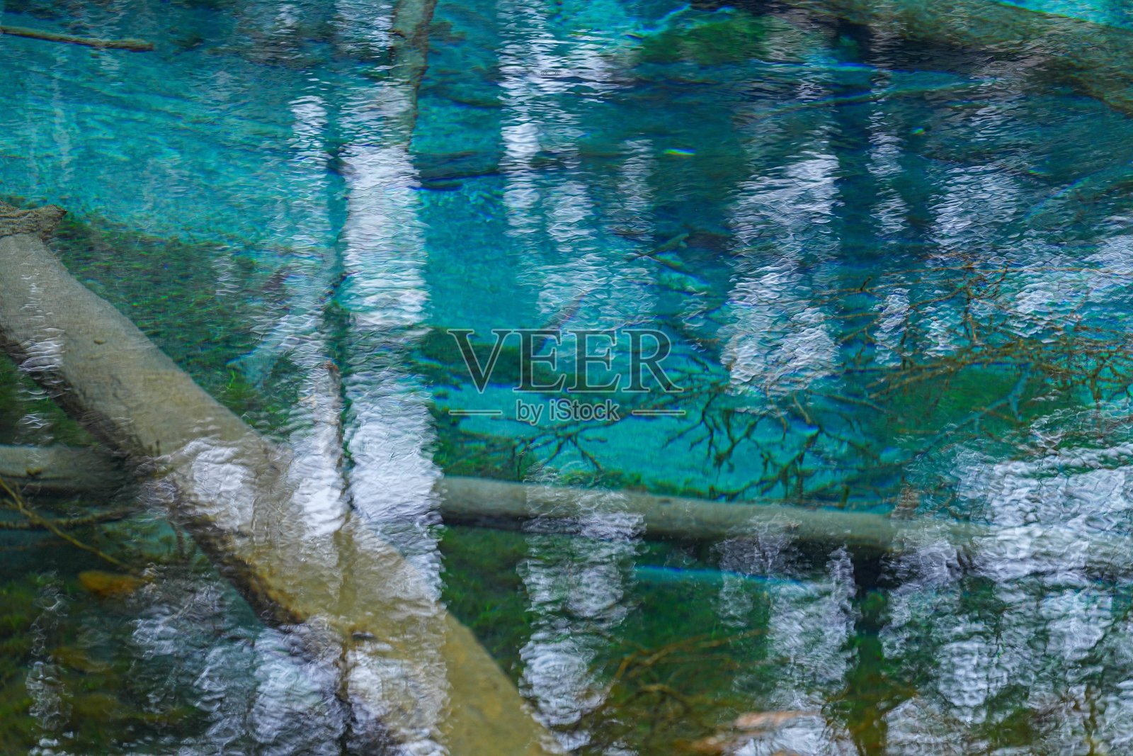 Kaminoko池塘照片摄影图片