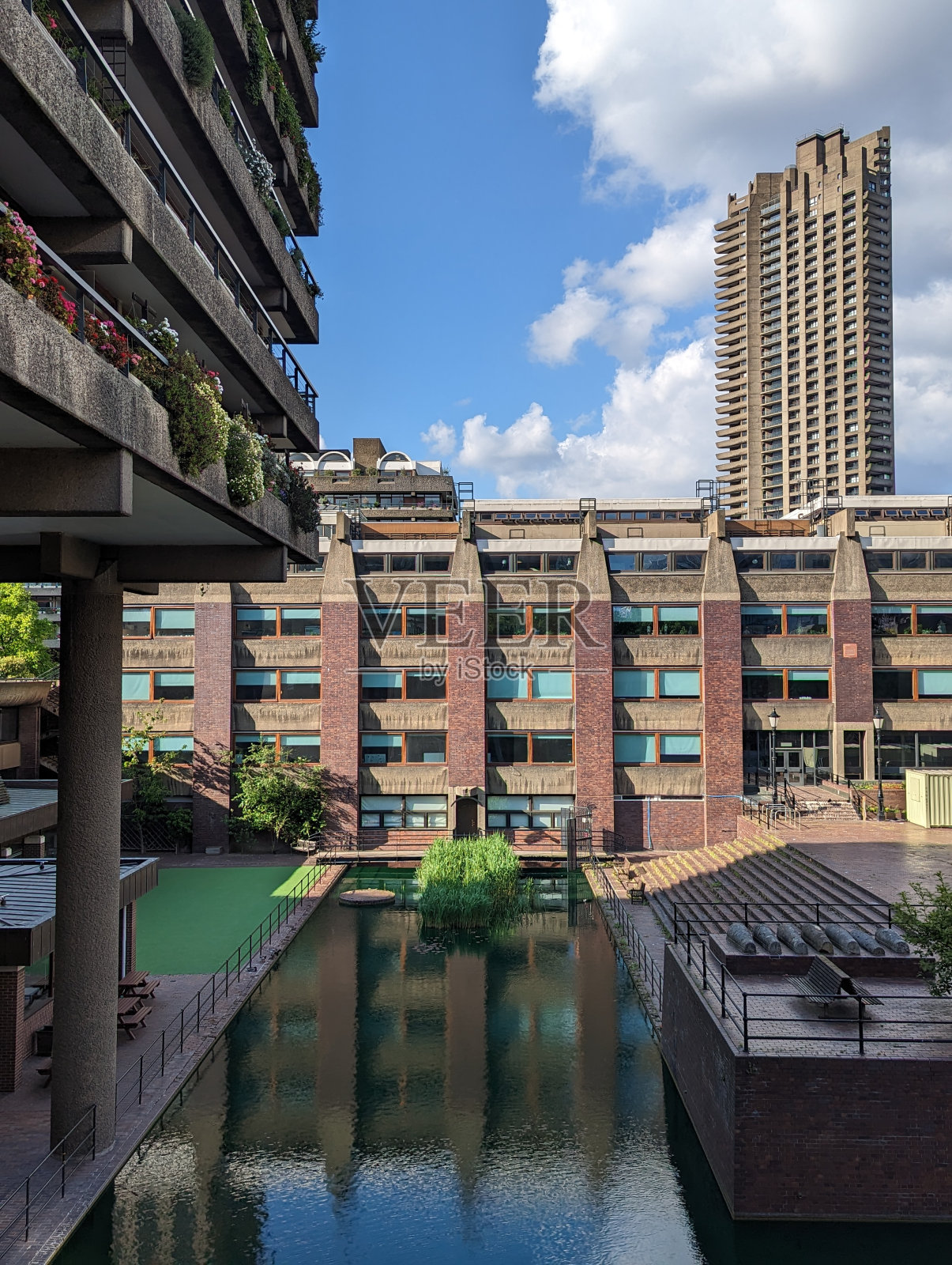 夏天的巴比肯照片摄影图片
