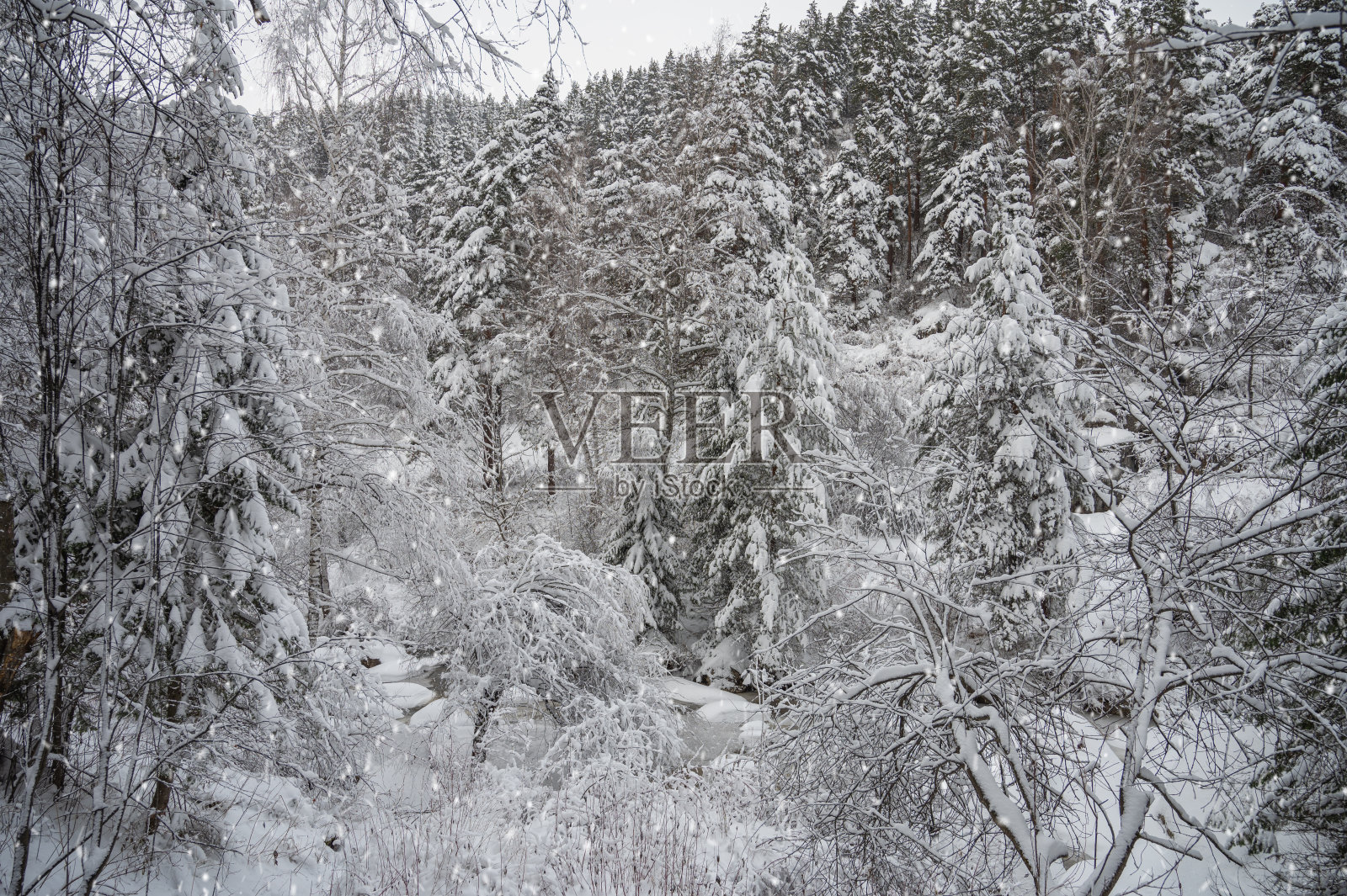 美丽的冬季景观照片摄影图片