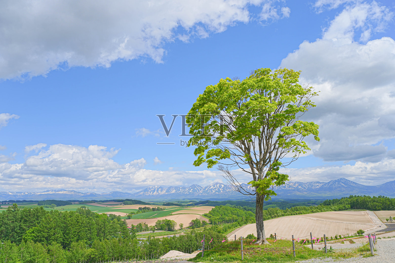 志贵山照片摄影图片