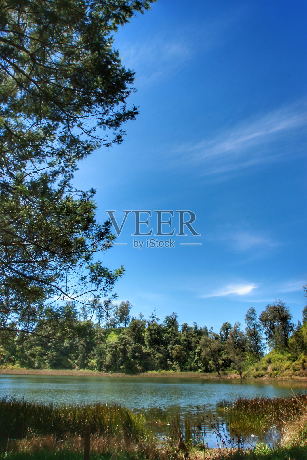 塞默鲁山山脚下的一个湖泊，白天被蓝天和白云装点着照片摄影图片