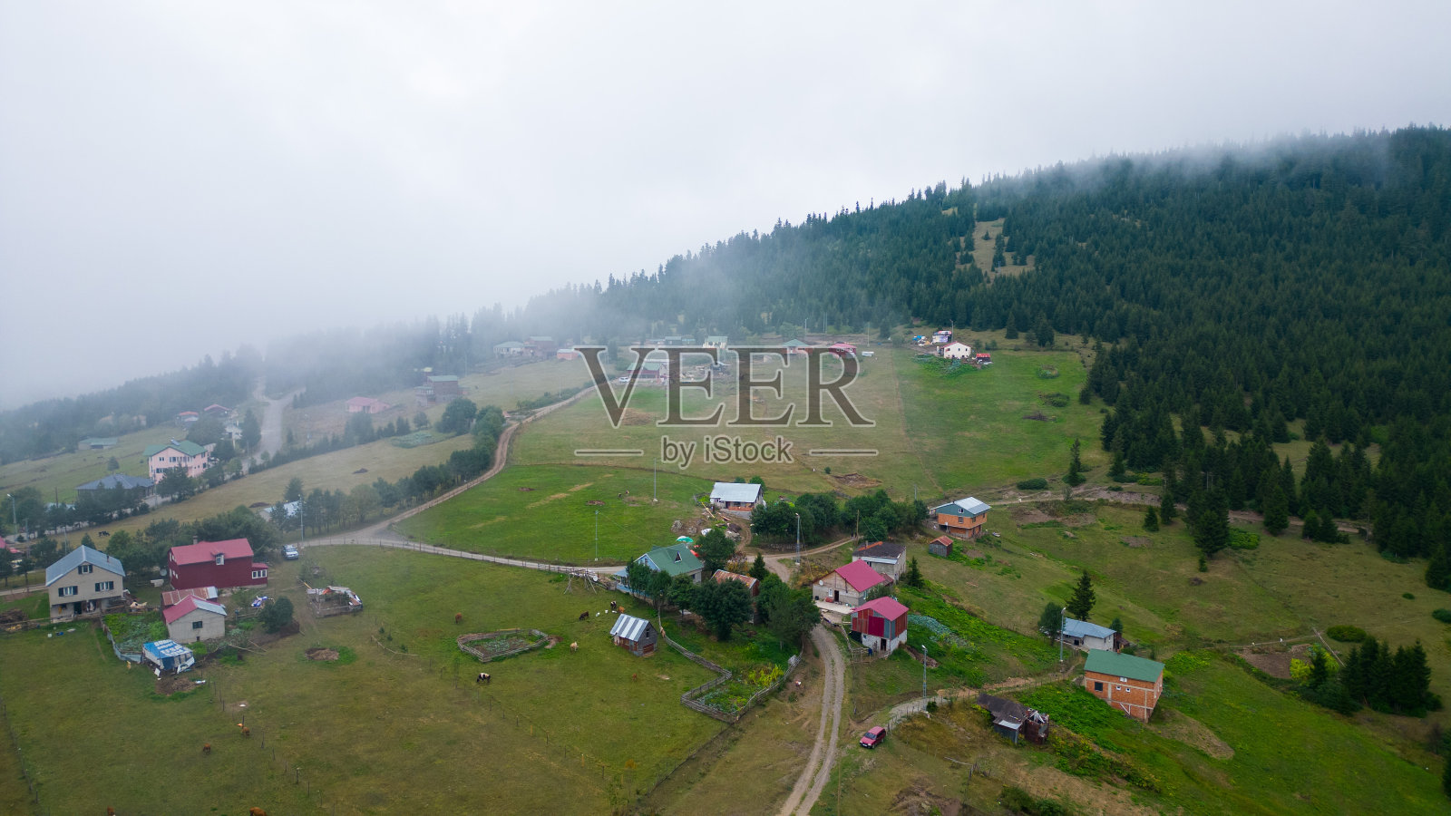 海拉克尔巴巴高原。斯莫基山脉。绿色的森林。森林和山脉。雾山。特拉布宗高原照片摄影图片