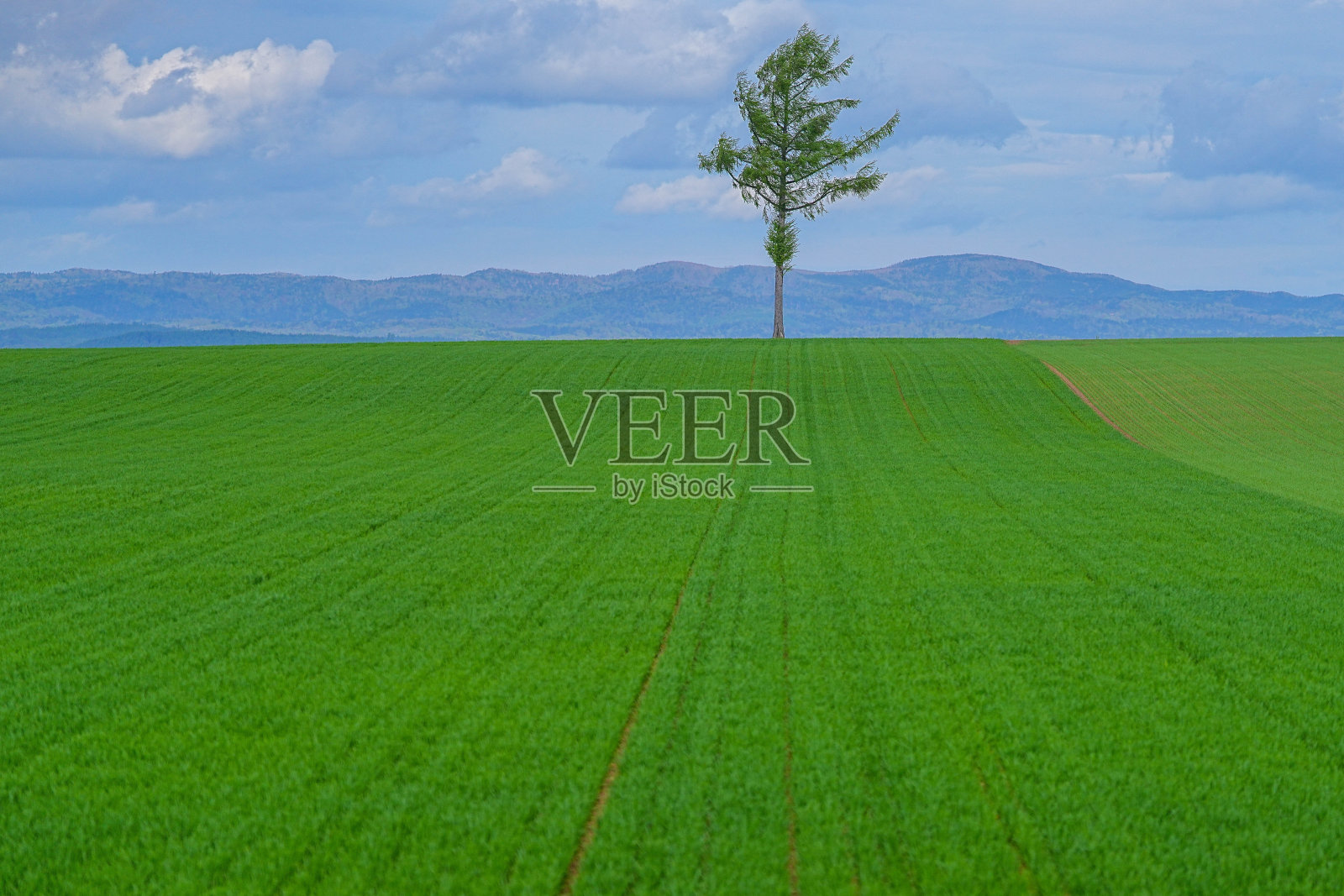 Meruhen公园照片摄影图片