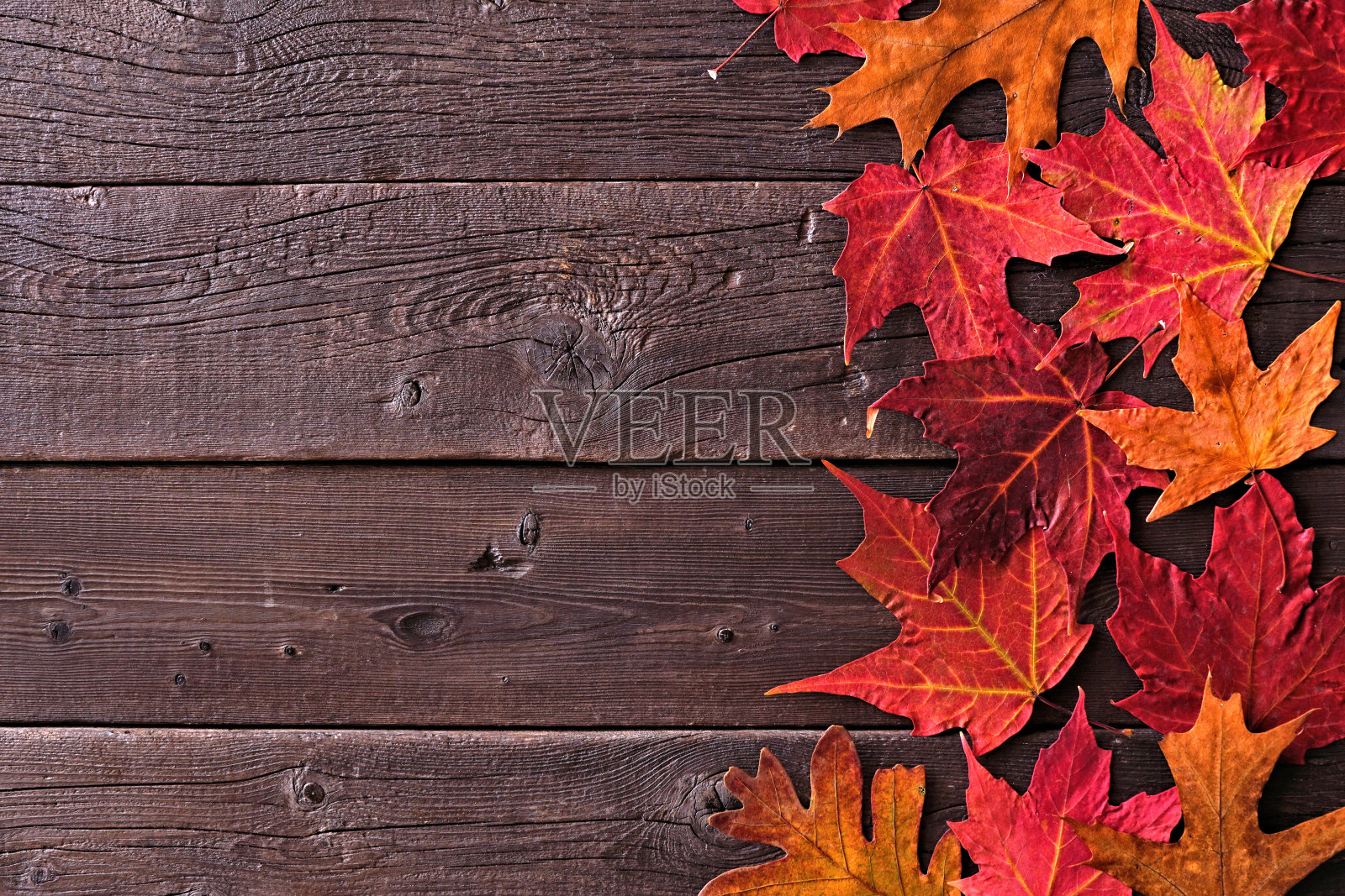 色彩缤纷的秋叶边边在黑暗的木材背景照片摄影图片