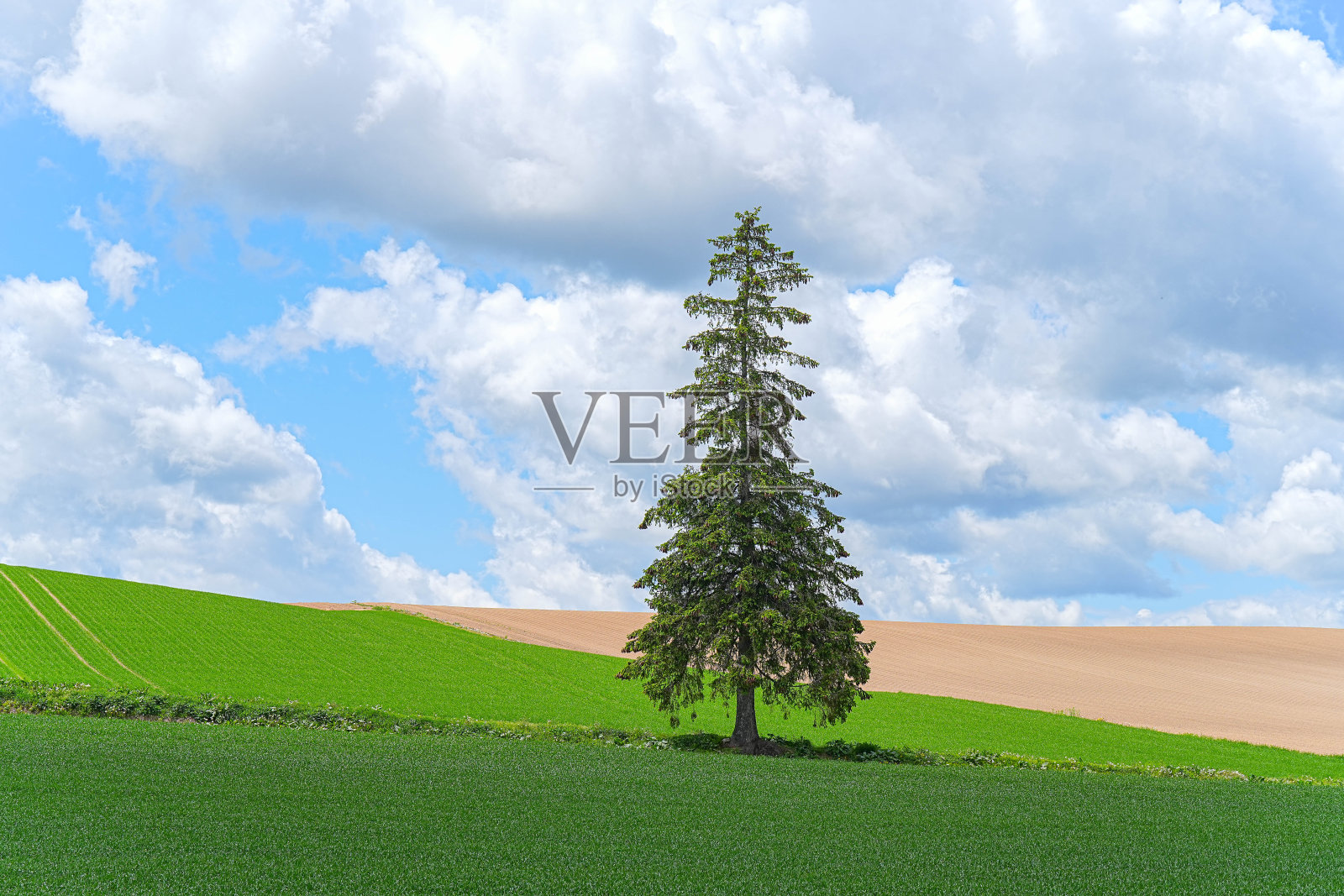 Shinei山照片摄影图片