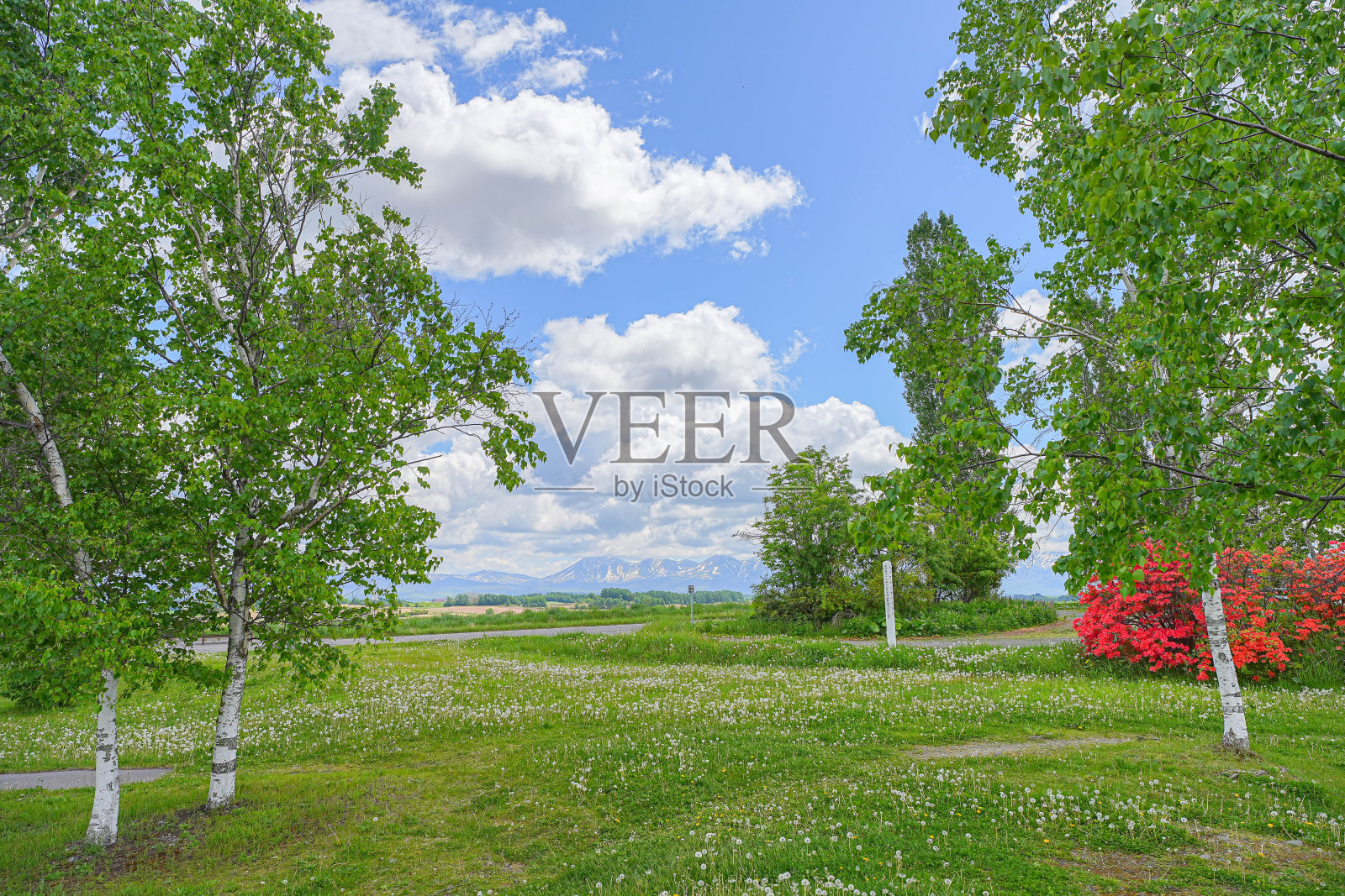 Shinei山照片摄影图片