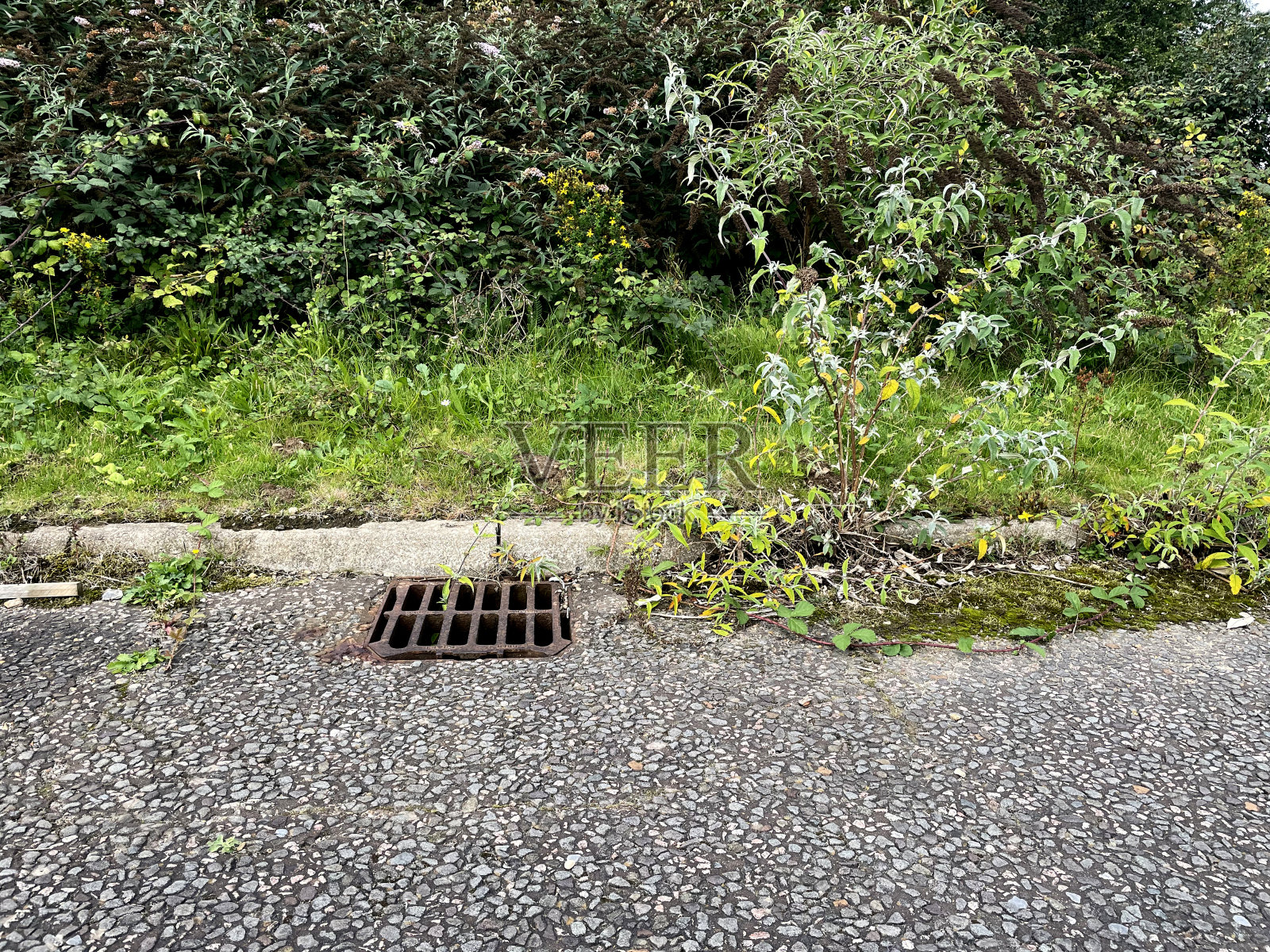 杂草丛生的道路排水渠照片摄影图片