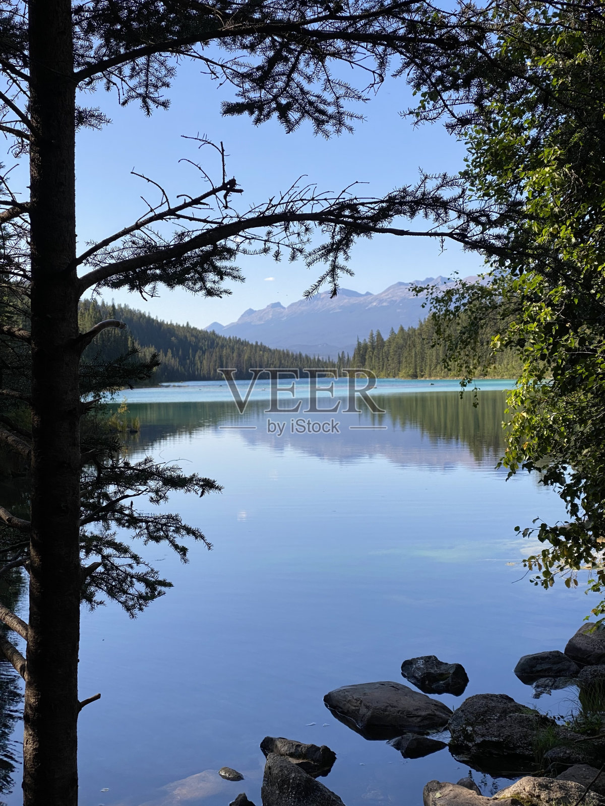 贾斯珀国家公园第一湖的海岸线景观照片摄影图片