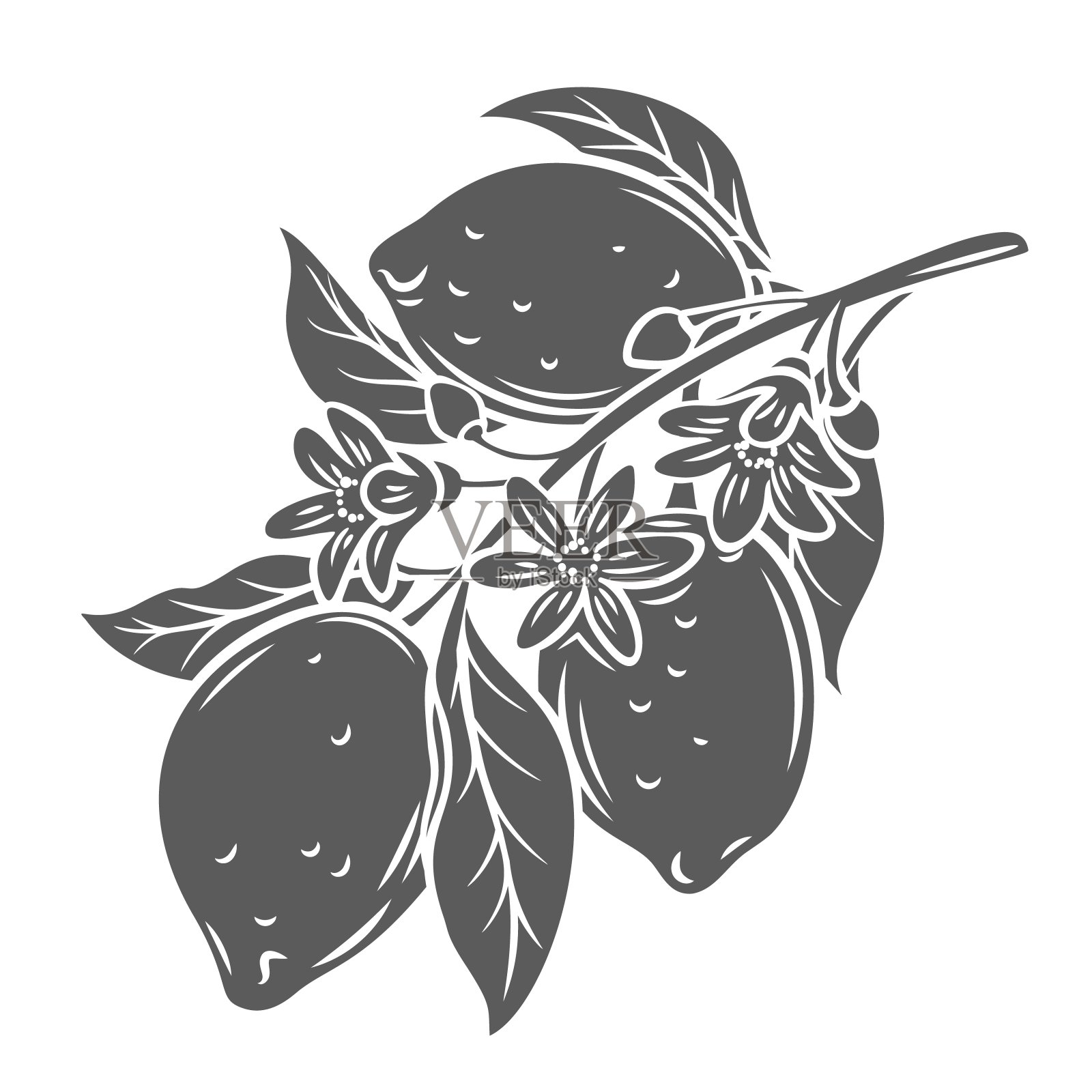 柠檬树枝字形图标插画图片素材