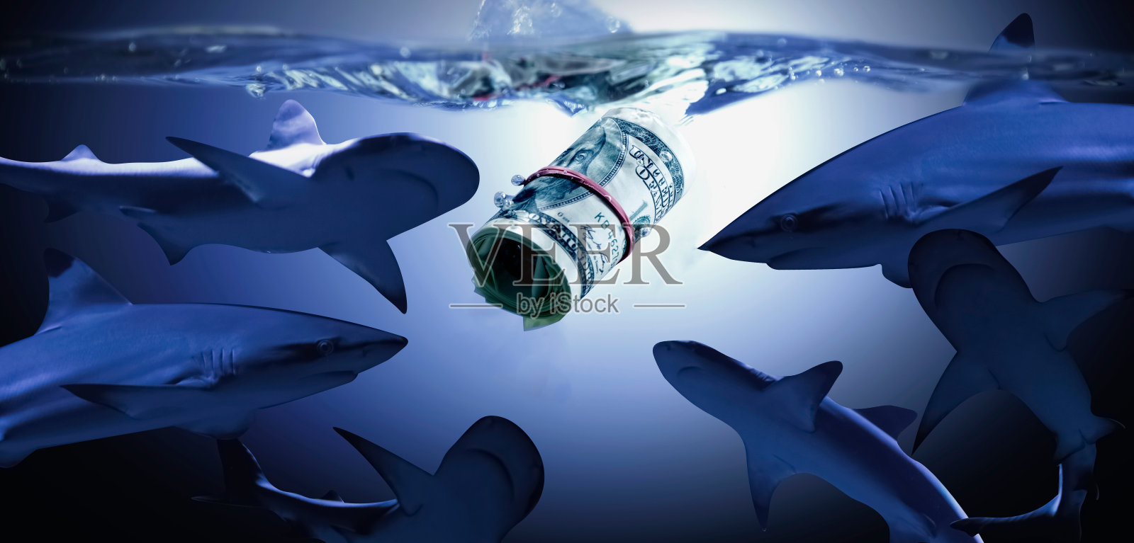概念隐喻形象:商业金钱鲨鱼。选择性关注美元钞票。照片摄影图片