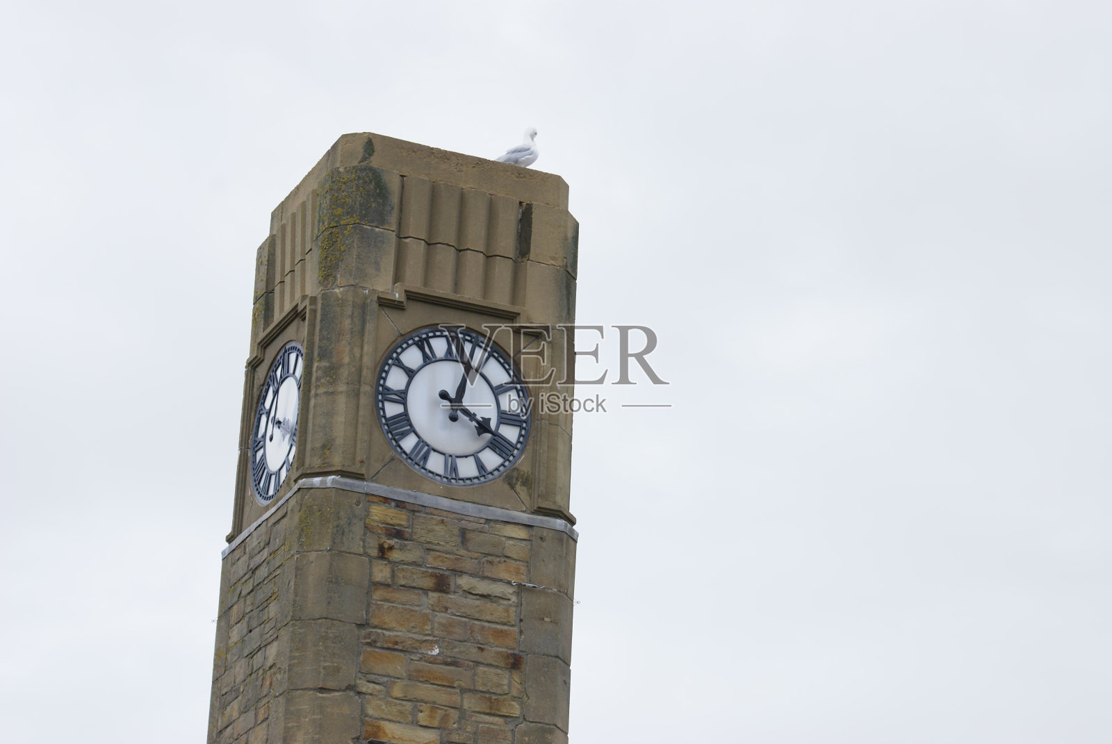 鸟儿站在里尔钟楼上照片摄影图片