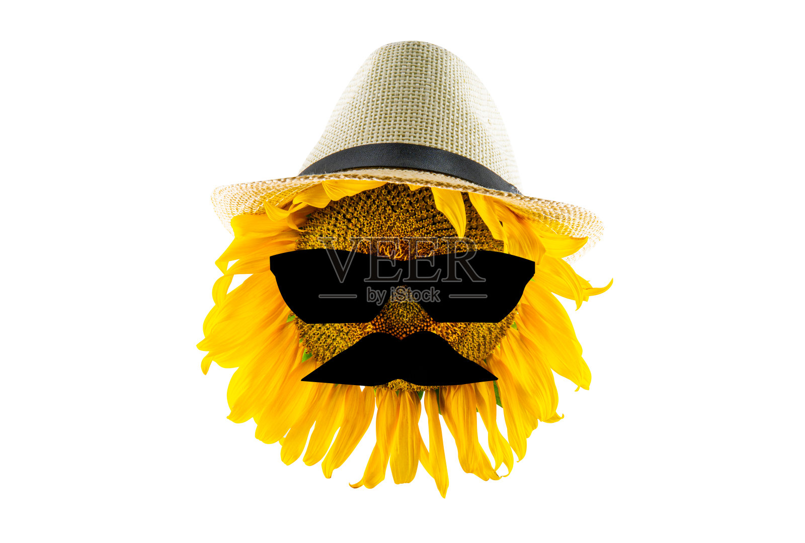 盛开的黄色向日葵戴着帽子，太阳镜和胡子，孤立在白色的背景照片摄影图片