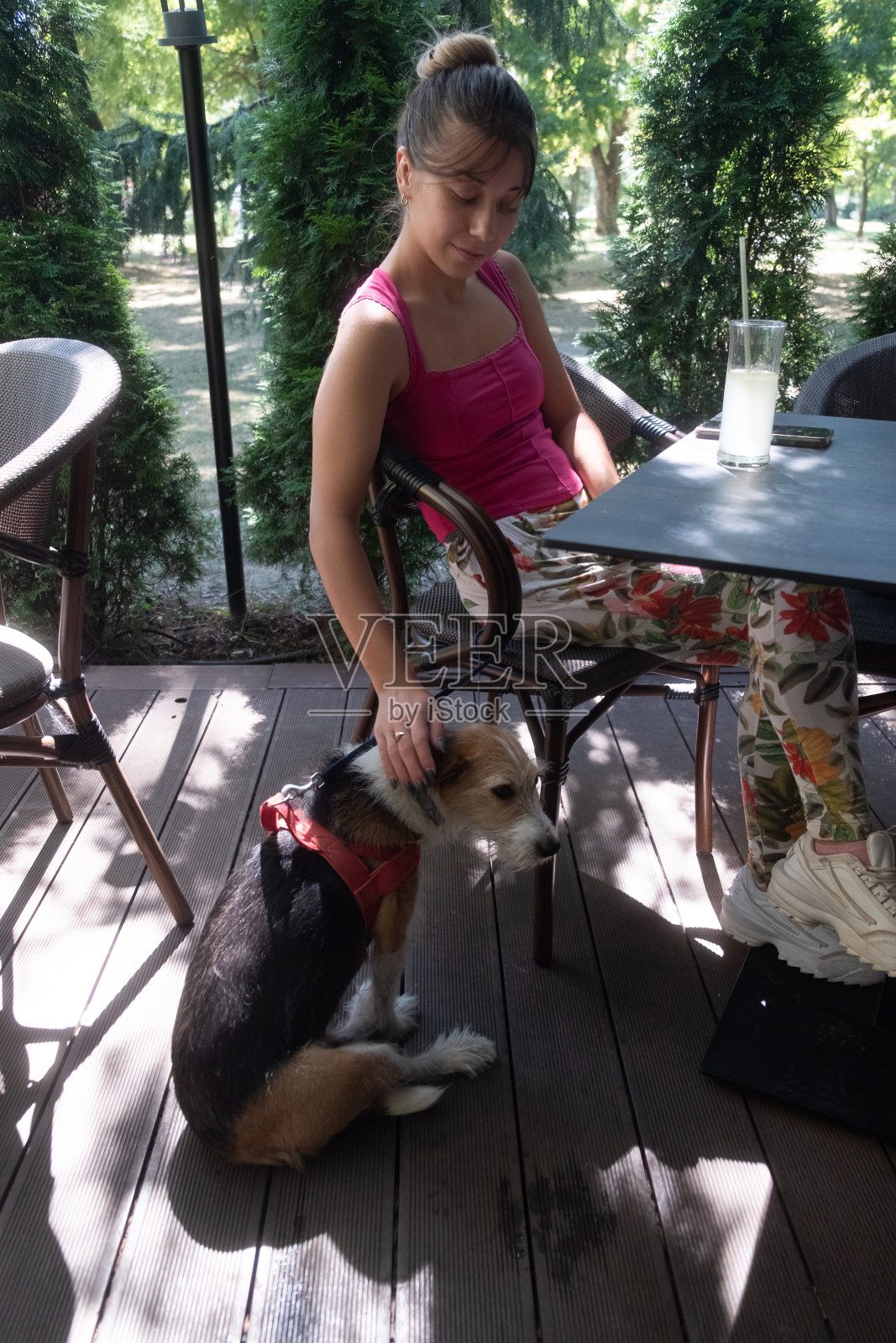 咖啡馆里的年轻女子和她的小猎犬照片摄影图片