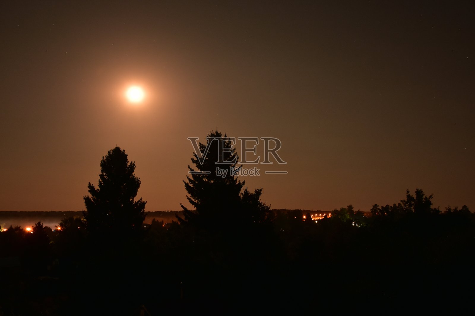 深黄的满月明亮地照耀着秋夜的树木和道路照片摄影图片