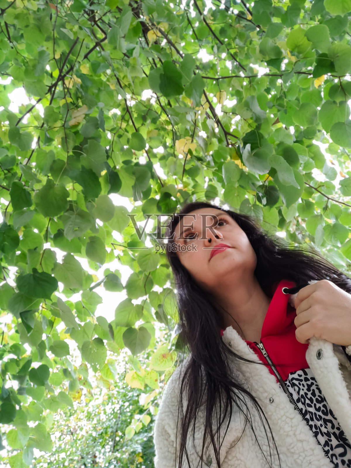 穿着运动衫的女孩对着一棵树，圣诞树，松树，冷杉和天空。底部视图。一个漂亮的年轻女孩——一个穿着白色运动衫的黑发女人，在树冠的背景下摆姿势。长着黑色长发的成年女孩。一个年轻女子的肖像照片摄影图片