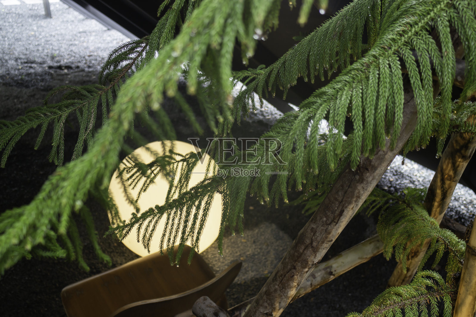 一个明亮发光的哑光白色燃烧圆形灯泡照片摄影图片