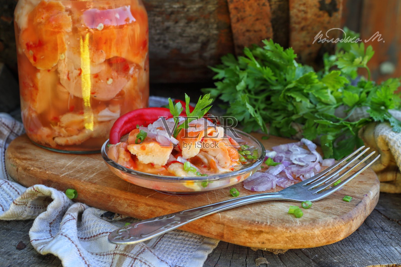 涂漆的多孔菌照片摄影图片