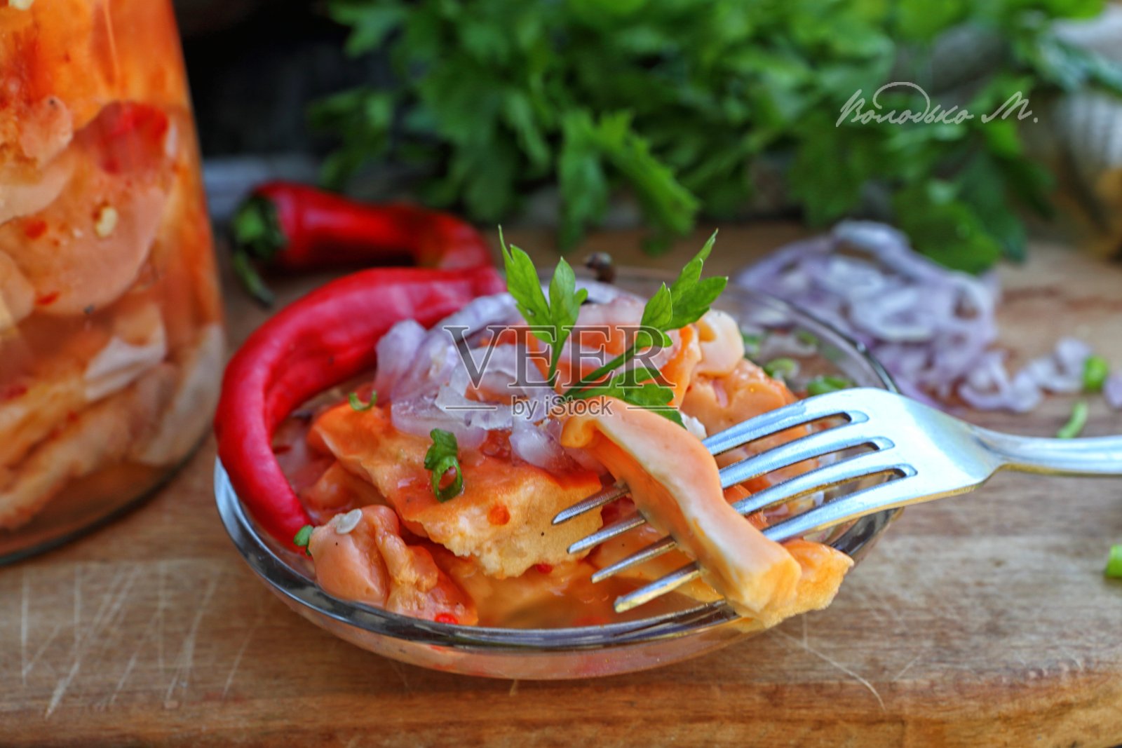 涂漆的多孔菌照片摄影图片