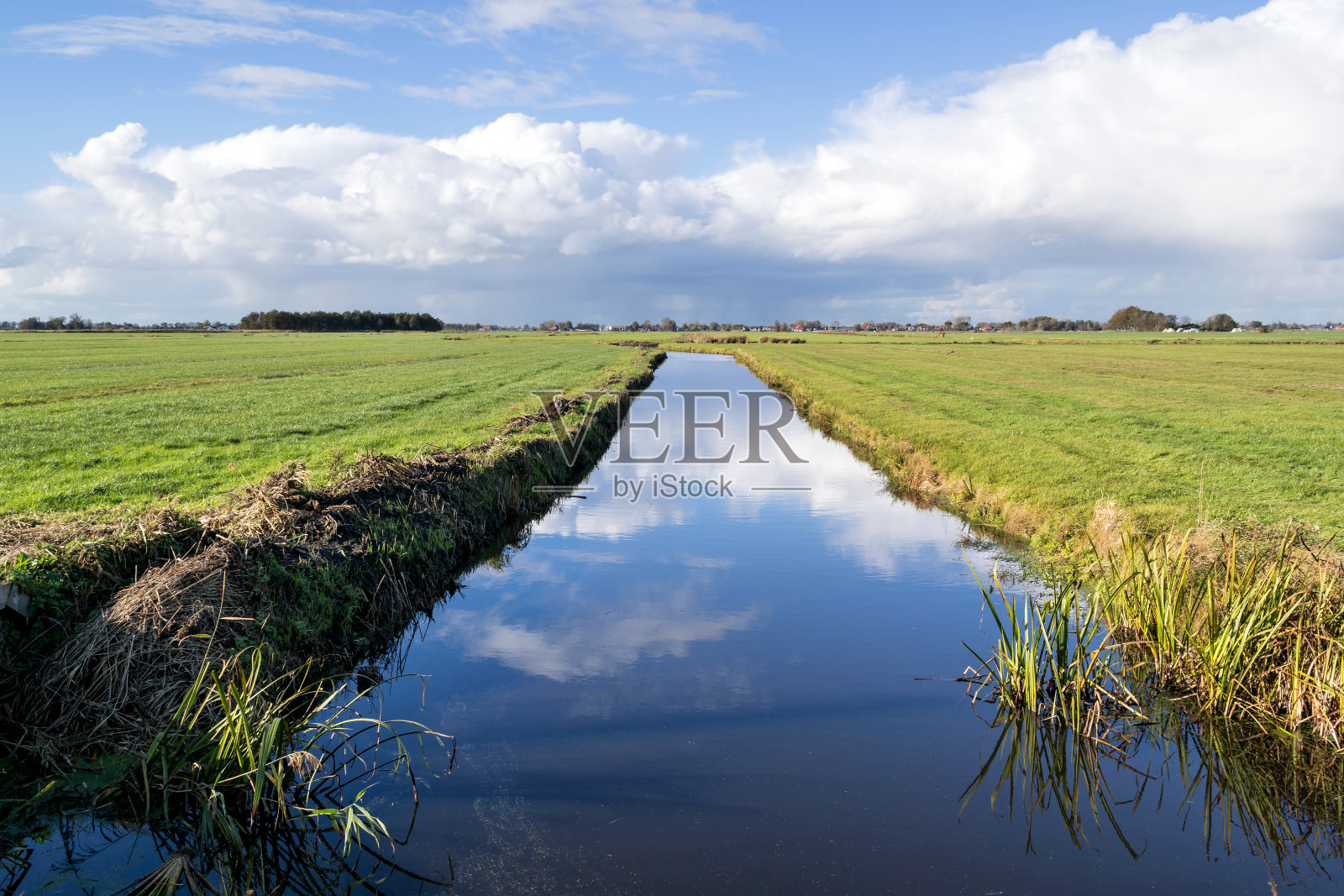 荷兰弗里斯兰省的圩田景观照片摄影图片