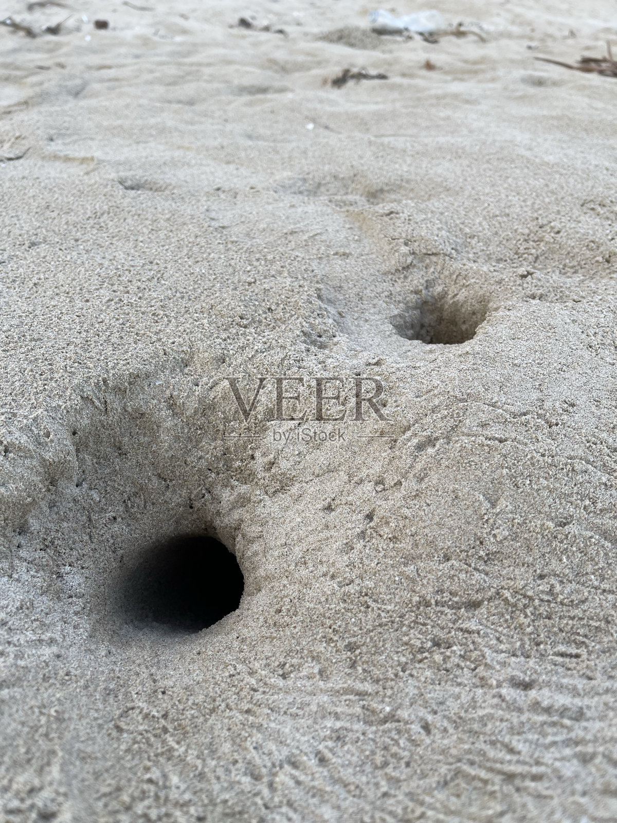 螃蟹挖的洞照片摄影图片