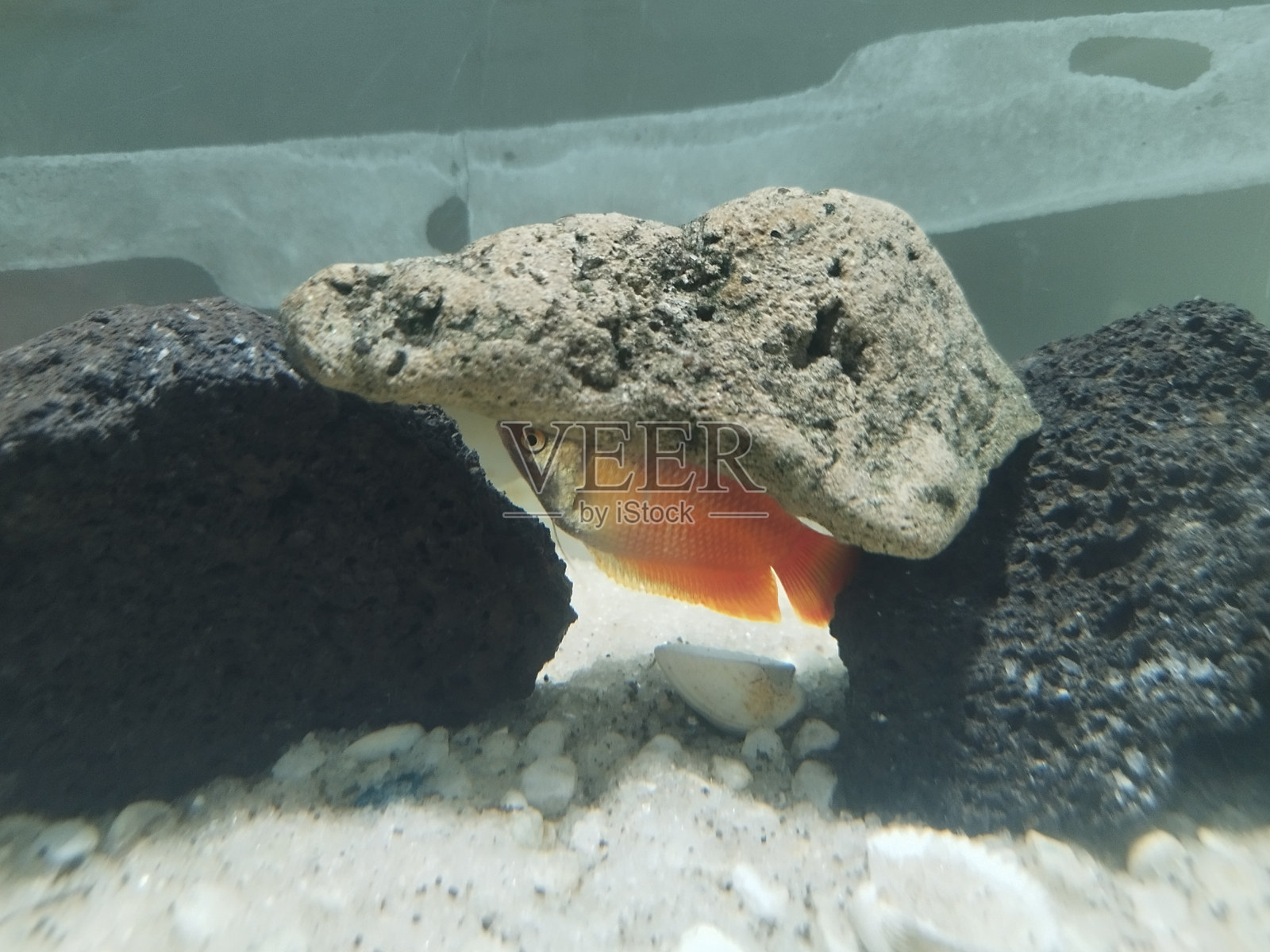 藏在岩石下的大理石葫芦照片摄影图片