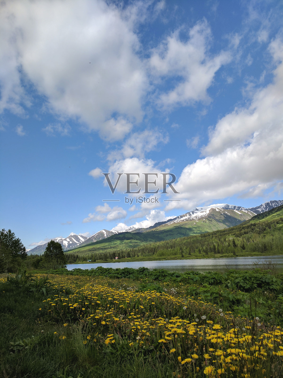 阿拉斯加的荒野照片摄影图片