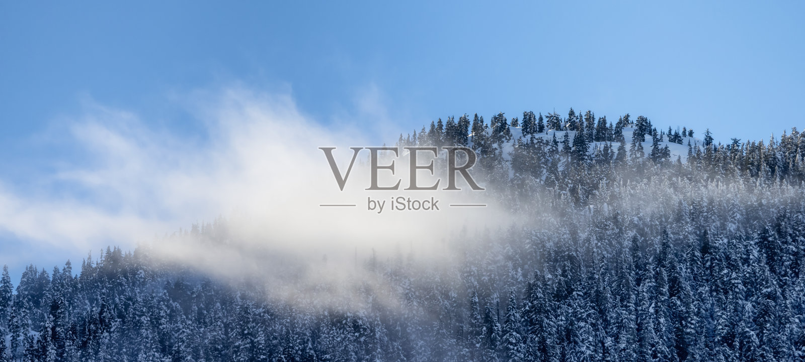 白雪覆盖的加拿大自然风光背景照片摄影图片