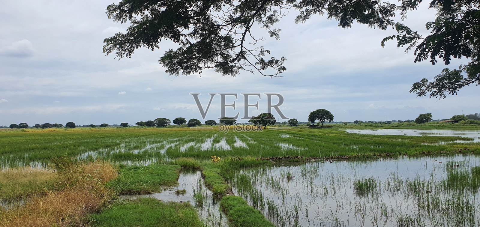 场照片摄影图片