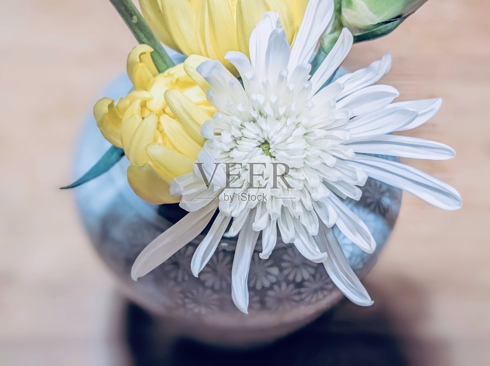 日式菊花插花。照片摄影图片