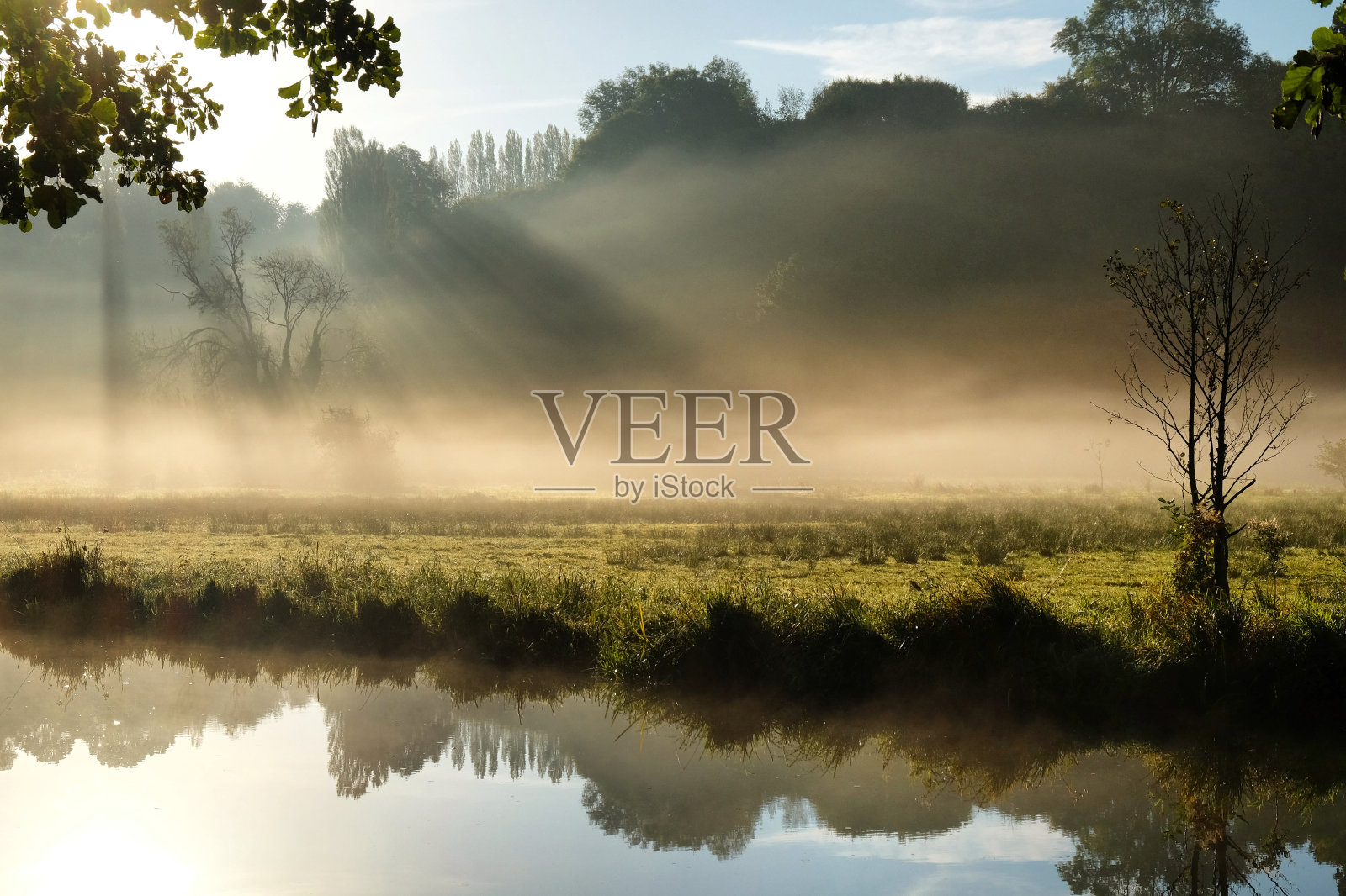 在一个寒冷的秋日早晨，萨里郡戈达明的韦河草地上弥漫着清晨的薄雾。照片摄影图片