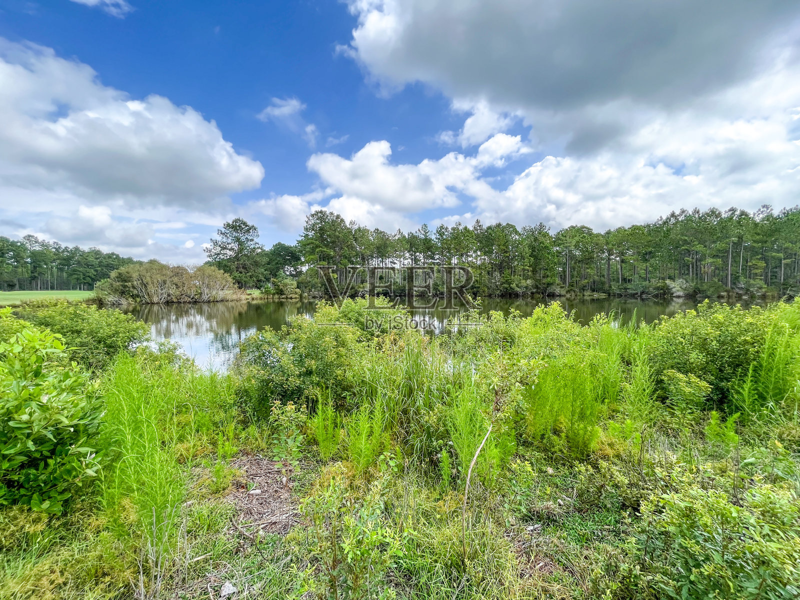 乔治亚湖上的蓝天白云照片摄影图片