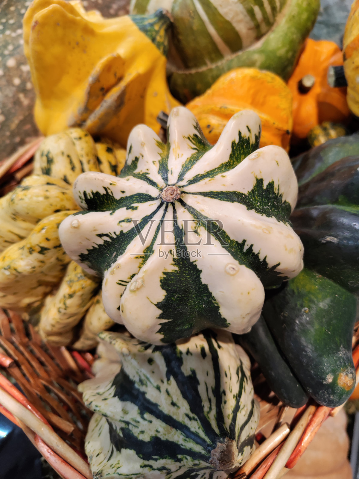 南瓜照片摄影图片