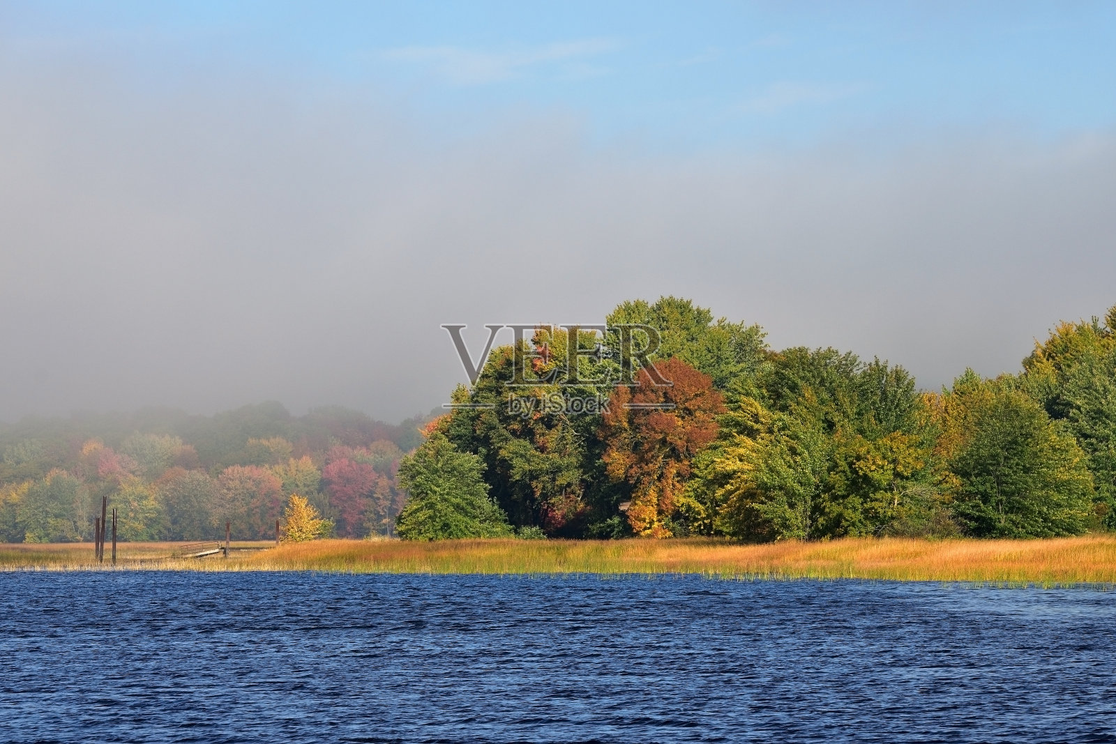 雾河上的秋叶照片摄影图片