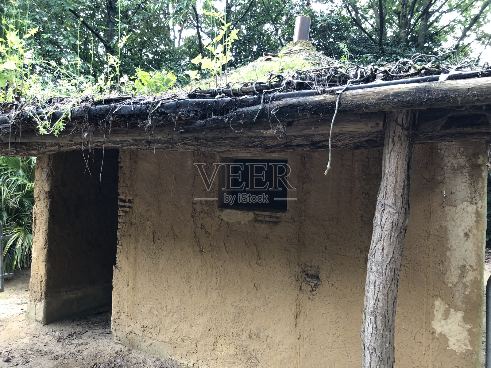 一座融入大自然的老房子照片摄影图片